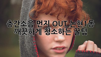 🧹 층간소음 먼지 OUT! 논현1동 깨끗하게 청소하는 꿀팁 ✨